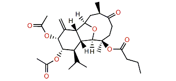 Klyxumollin A